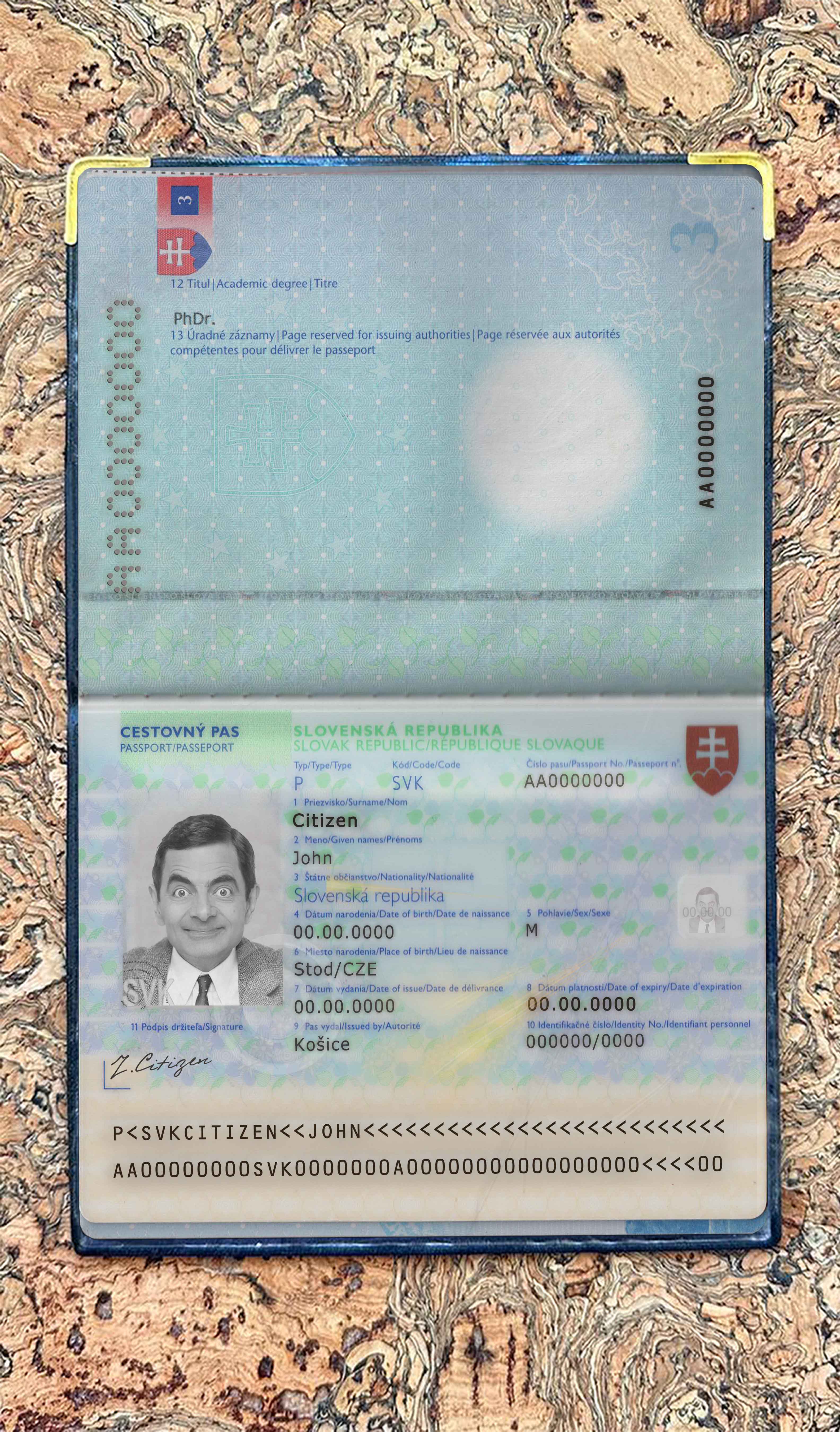 Slovakia pass photo look PSD template